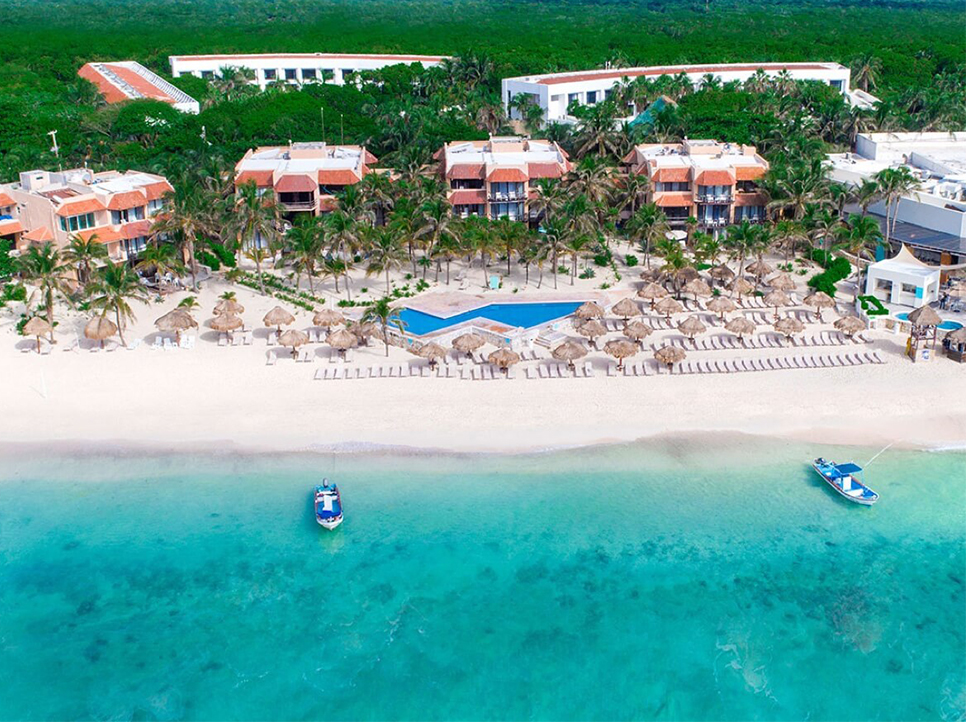 Table Full of Spices