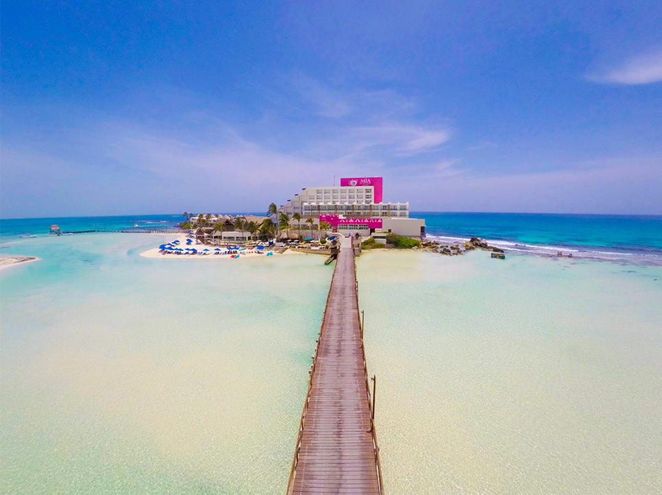 Table Full of Spices